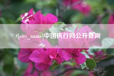 沧县中国执行网公开查询