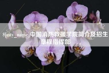 沧县中国消防救援学院简介及招生章程指挥部