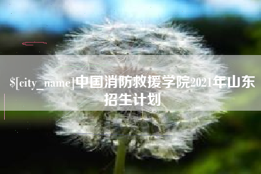 沧县中国消防救援学院2021年山东招生计划