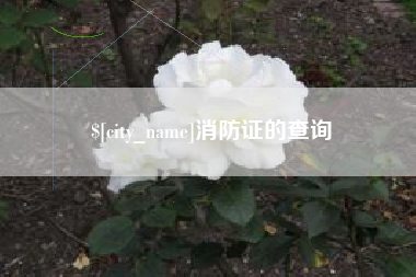 沧县消防证的查询