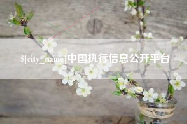 沧县中国执行信息公开平台