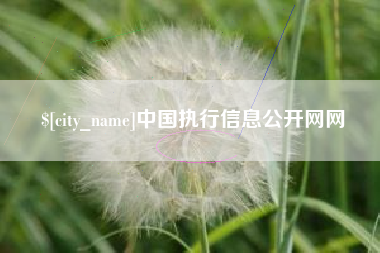 沧县中国执行信息公开网网