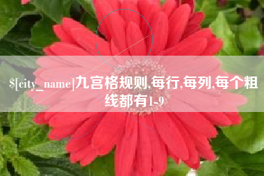 沧县九宫格规则,每行,每列,每个粗线都有1-9
