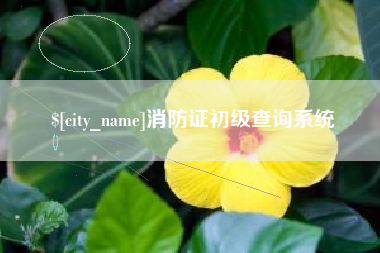 沧县消防证初级查询系统