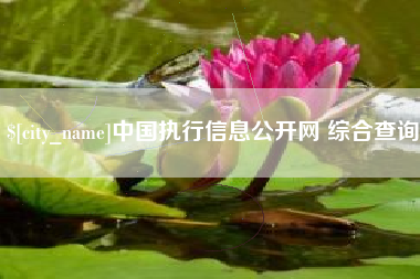 沧县中国执行信息公开网 综合查询