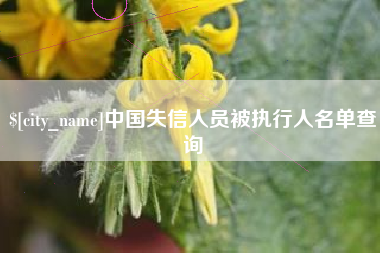 沧县中国失信人员被执行人名单查询