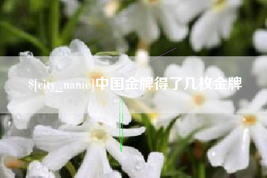 沧县中国金牌得了几枚金牌