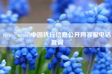 沧县中国执行信息公开网客服电话查询