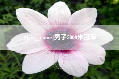 沧县男子5000米冠军
