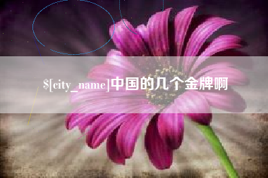 沧县中国的几个金牌啊