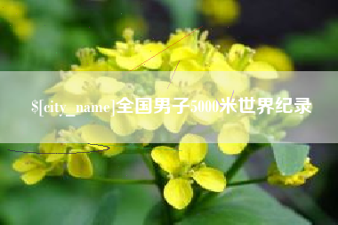 沧县全国男子5000米世界纪录