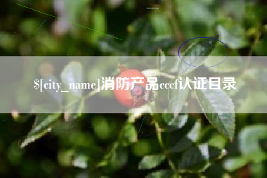 沧县消防产品cccf认证目录
