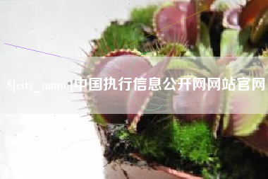 沧县中国执行信息公开网网站官网
