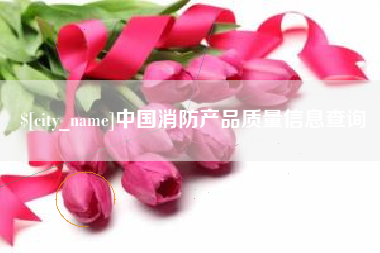 沧县中国消防产品质量信息查询