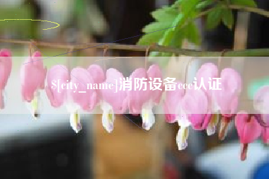 沧县消防设备ccc认证