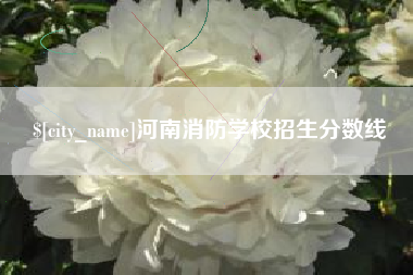 沧县河南消防学校招生分数线