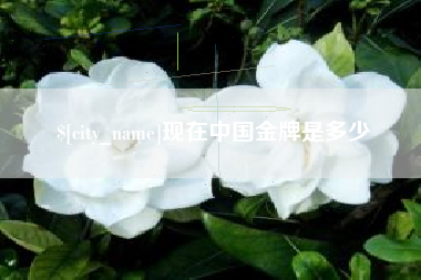 沧县现在中国金牌是多少