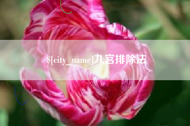 沧县九宫排除法