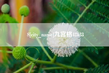 沧县九宫格42633