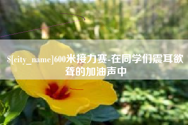 沧县600米接力赛-在同学们震耳欲聋的加油声中
