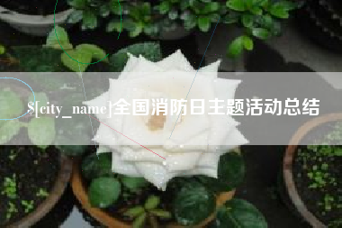 沧县全国消防日主题活动总结