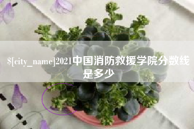 沧县2021中国消防救援学院分数线是多少