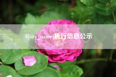 沧县执行信息公示