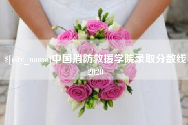 沧县中国消防救援学院录取分数线2020