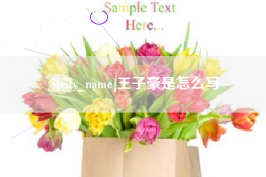沧县王子豪是怎么写