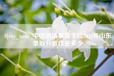 沧县中国消防救援学院2021年山东录取分数线是多少