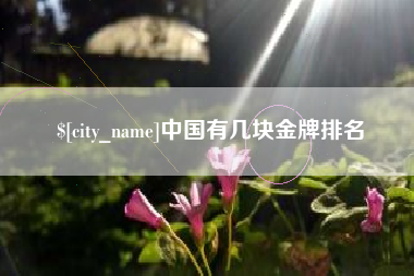 沧县中国有几块金牌排名
