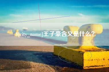沧县王子豪含义是什么？