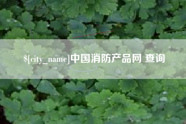 沧县中国消防产品网 查询