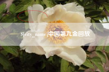 沧县中国第九金回放