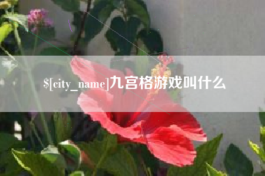 沧县九宫格游戏叫什么