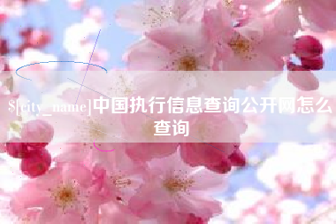 沧县中国执行信息查询公开网怎么查询
