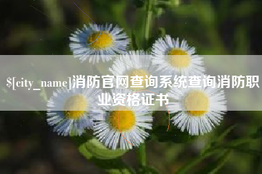 沧县消防官网查询系统查询消防职业资格证书