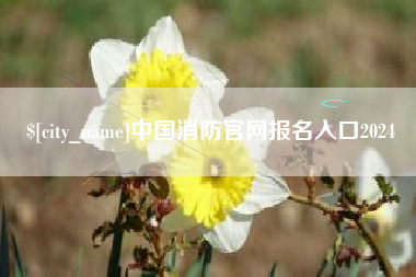 沧县中国消防官网报名入口2024