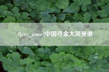 沧县中国夺金大项是谁
