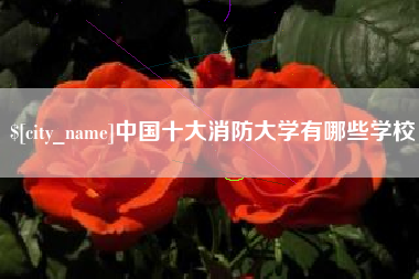 沧县中国十大消防大学有哪些学校