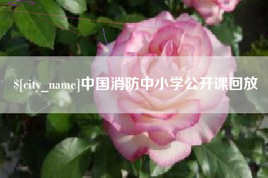 沧县中国消防中小学公开课回放