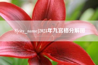 沧县2021年九宫格分解图