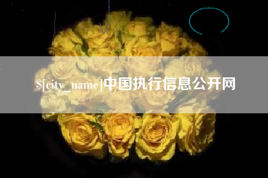 沧县中国执行信息公开网