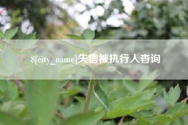 沧县失信被执行人杳询