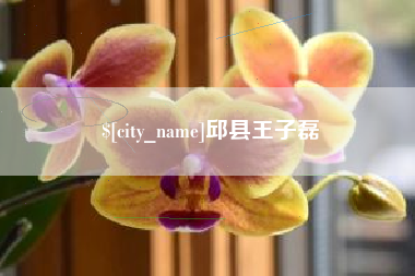 沧县邱县王子磊