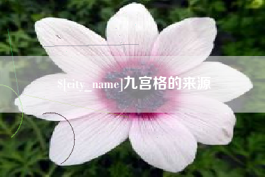 沧县九宫格的来源