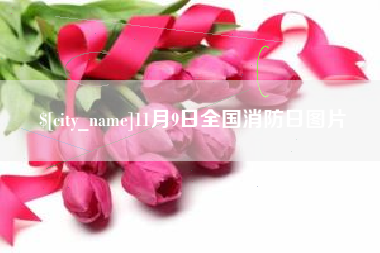沧县11月9日全国消防日图片