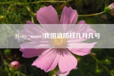 沧县我国消防日几月几号