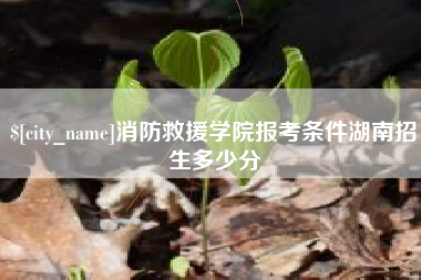 沧县消防救援学院报考条件湖南招生多少分