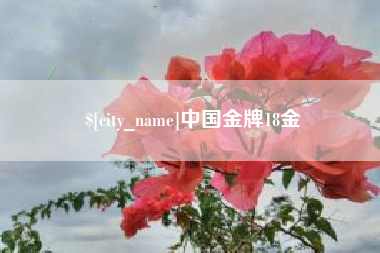 沧县中国金牌18金